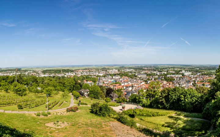 Aufnahme einer Kleinstadt mit umliegenden Grüngebieten. 
